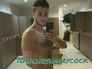 10incheshairycock