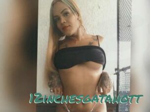 12inchesgatahott