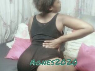 Agnes2020