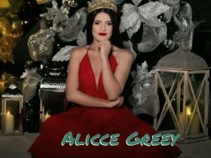 Alicce_Greey