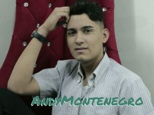 AndyMontenegro