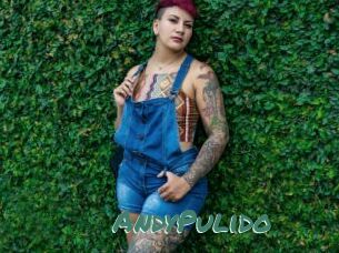 AndyPulido