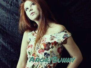 AngryBunny