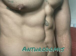 Anthrodomis