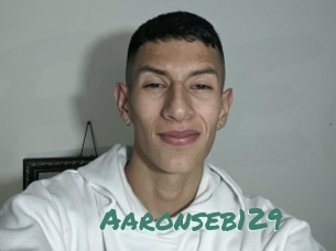 Aaronseb129