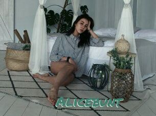Alicebunt