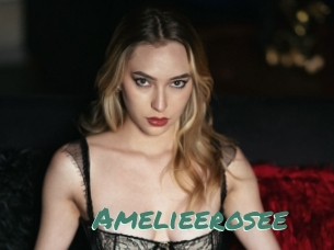 Amelieerosee