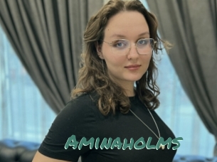 Aminaholms