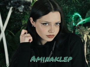 Aminaklep