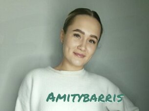 Amitybarris