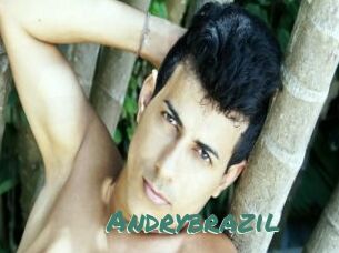 Andrybrazil