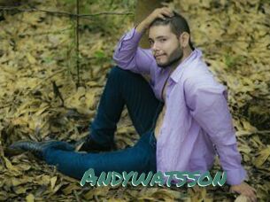 Andywatsson