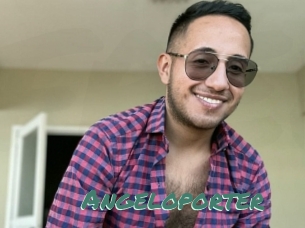 Angeloporter