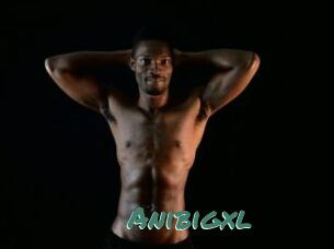 Anibigxl