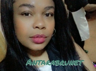 Antarabrunet