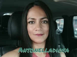 Antonelladiosa