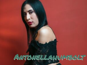 Antonellahumbolt