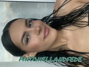 Antonellandfede