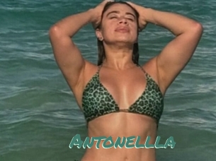 Antonellla