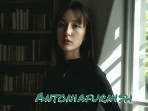 Antoniafurnish