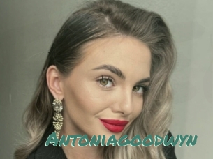 Antoniagoodwyn