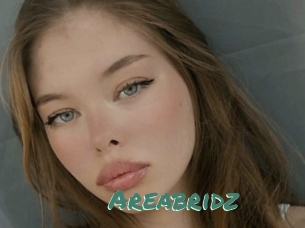 Areabridz