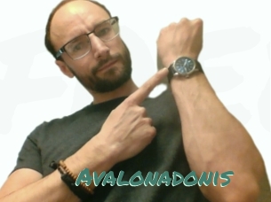 Avalonadonis