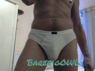 BarepigOWL