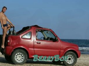 BerryBoy