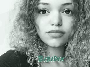 BibiDix