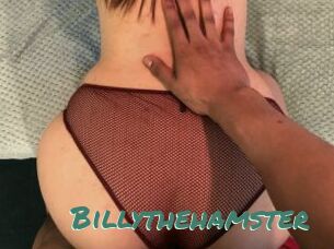 Billythehamster
