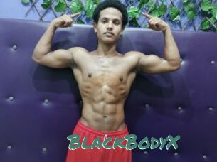 BlackBodyX