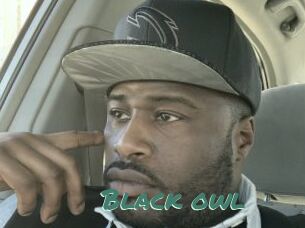 Black_owl