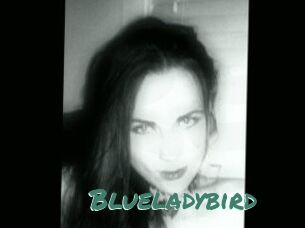 Blueladybird