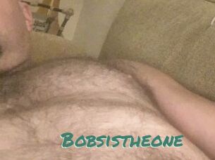 Bobsistheone