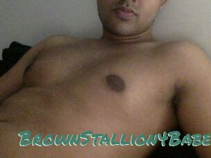 BrownStallion4Babes