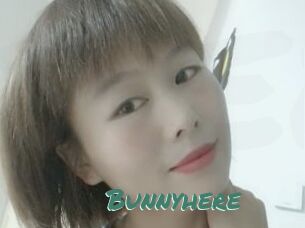 Bunnyhere