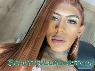 Beautifullhoursecock