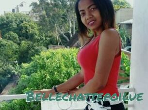 Bellechattepoilue