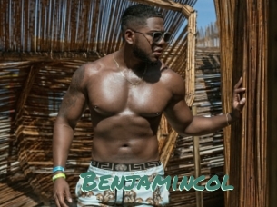 Benjamincol