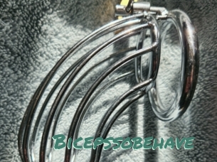 Bicepssobehave