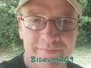 Bidrum209