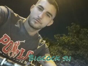 Bigcock_sh