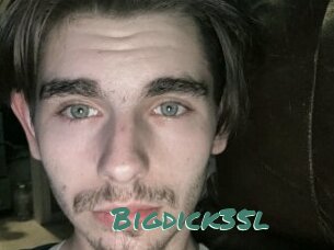 Bigdick35l