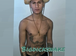 Bigdicksnake
