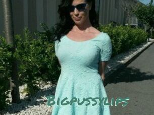 Bigpussylips