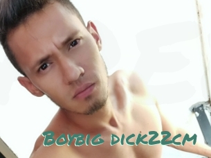 Boybig_dick22cm