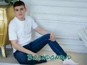 Brandonbud