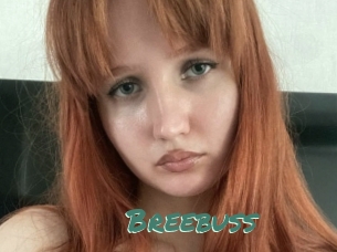 Breebuss