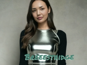 Breeestridge